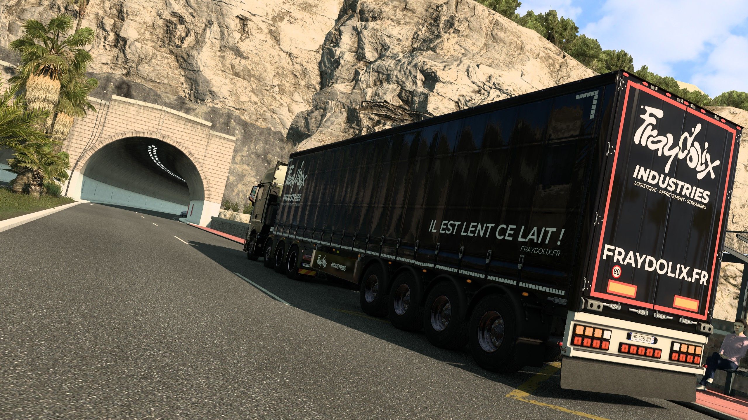 The 136 Box Standard Trailer heading into a mountain tunnel