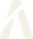 FiveM